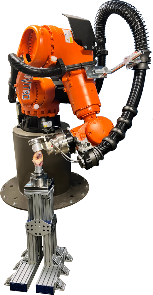 Robotic rig with cadaveric knee specimen and modular fixturing